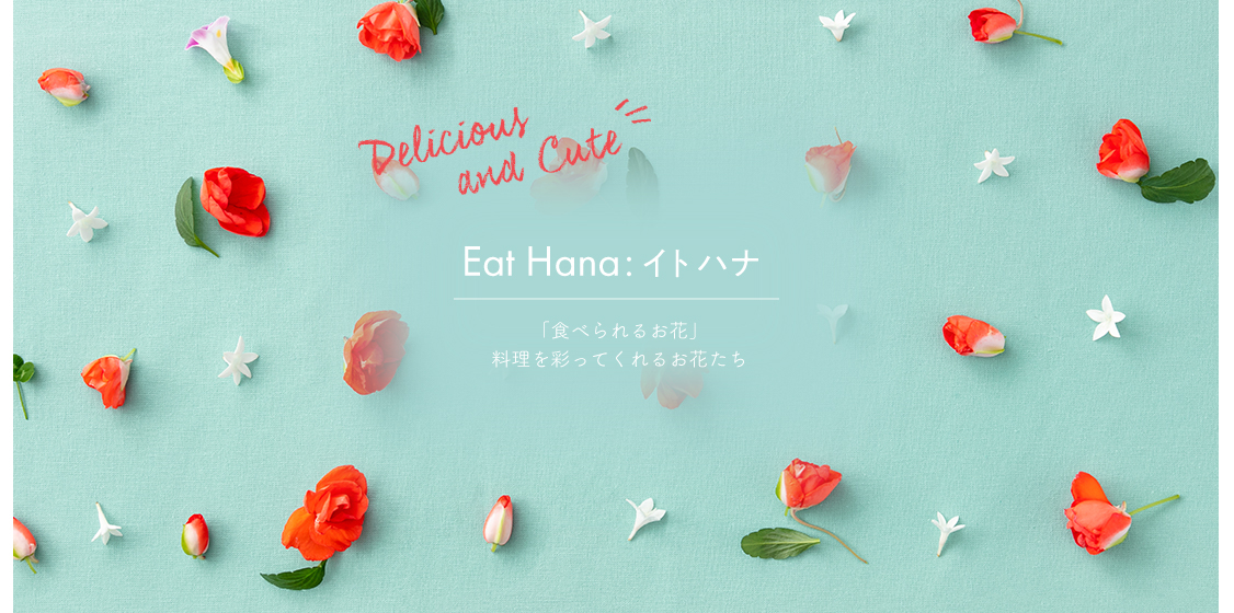 Eat Hana イトハナ 「食べられるお花」 料理を彩ってくれるお花たち