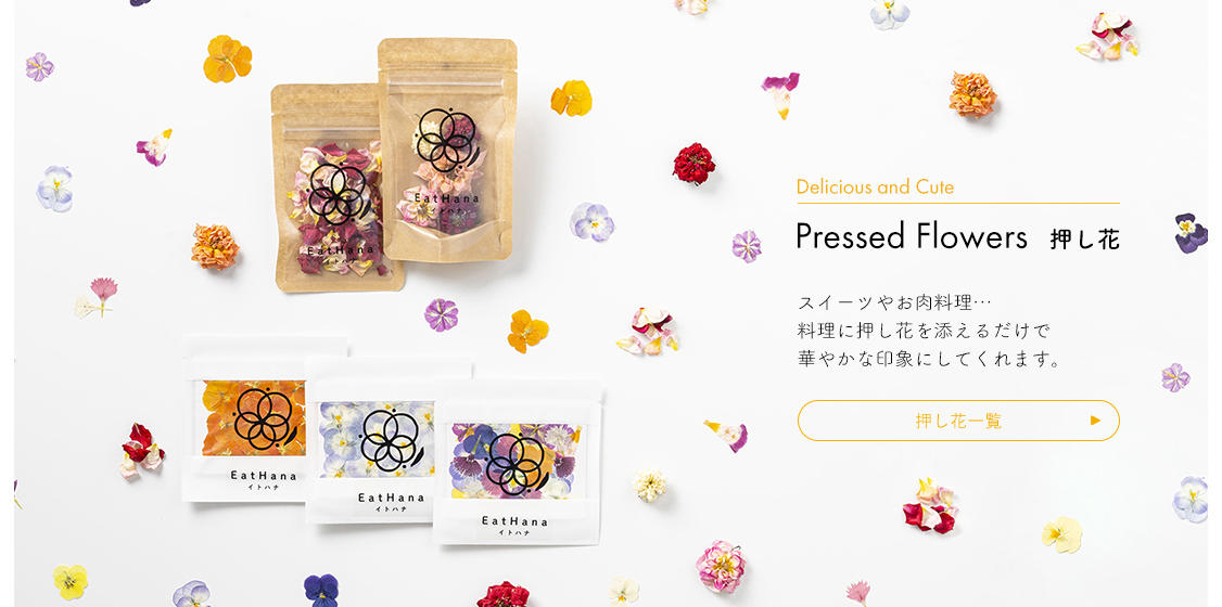 Delicious and Cute Pressed Flowers 押し花 スイーツやお肉料理・・・ 材料に押し花を添えるだけで華やかな印象にしてくれます。