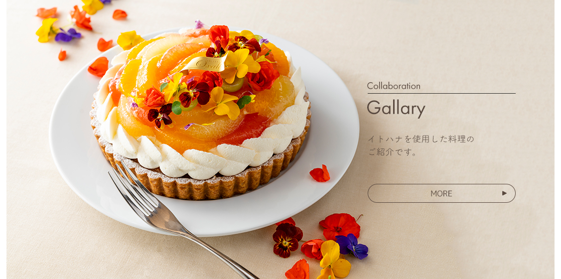 Business Partners Gallary イトハナを使用して頂いているお店のご紹介です。